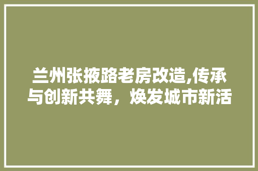 兰州张掖路老房改造,传承与创新共舞，焕发城市新活力