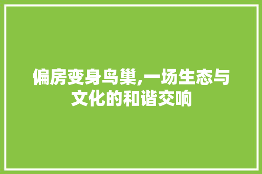 偏房变身鸟巢,一场生态与文化的和谐交响