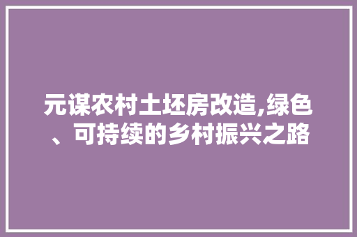 元谋农村土坯房改造,绿色、可持续的乡村振兴之路