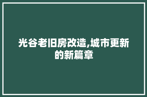 光谷老旧房改造,城市更新的新篇章