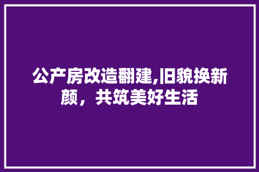公产房改造翻建,旧貌换新颜，共筑美好生活 装修材料