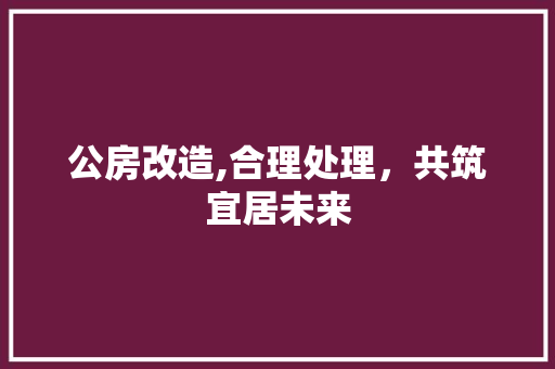 公房改造,合理处理，共筑宜居未来