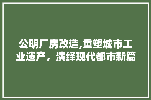 公明厂房改造,重塑城市工业遗产，演绎现代都市新篇章