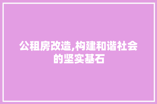 公租房改造,构建和谐社会的坚实基石 装修材料