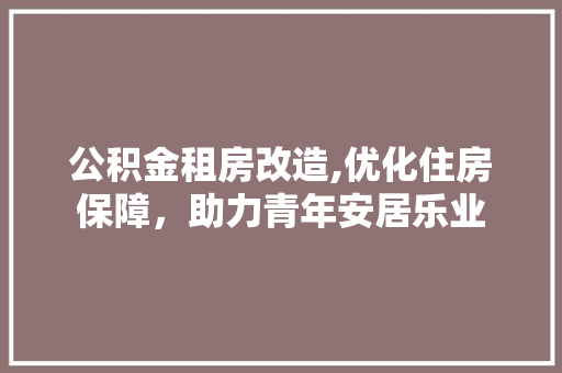 公积金租房改造,优化住房保障，助力青年安居乐业