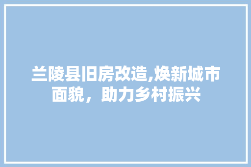 兰陵县旧房改造,焕新城市面貌，助力乡村振兴