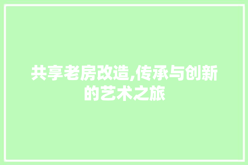 共享老房改造,传承与创新的艺术之旅 庭院装修