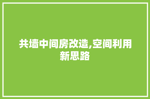 共墙中间房改造,空间利用新思路