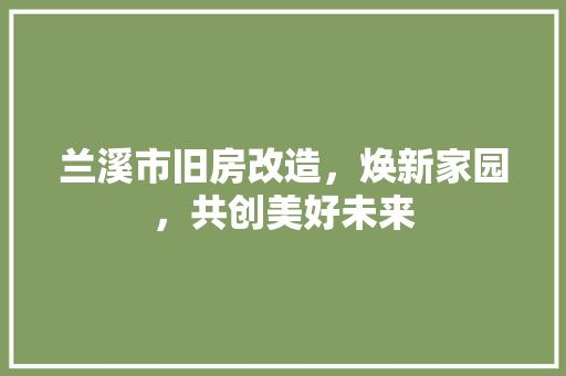 兰溪市旧房改造，焕新家园，共创美好未来