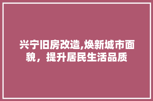 兴宁旧房改造,焕新城市面貌，提升居民生活品质