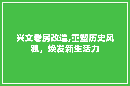 兴文老房改造,重塑历史风貌，焕发新生活力 庭院装修