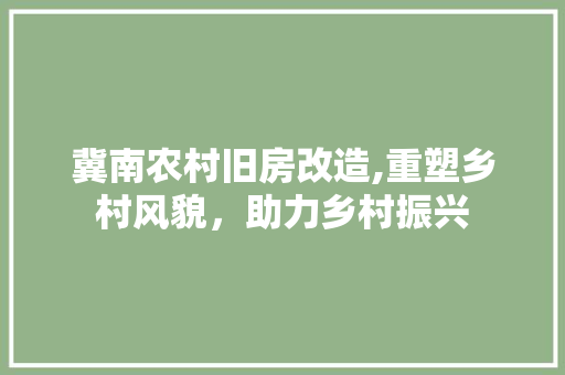 冀南农村旧房改造,重塑乡村风貌，助力乡村振兴 地面装修