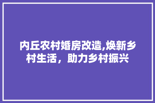 内丘农村婚房改造,焕新乡村生活，助力乡村振兴 门窗装修
