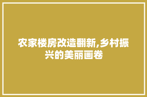 农家楼房改造翻新,乡村振兴的美丽画卷