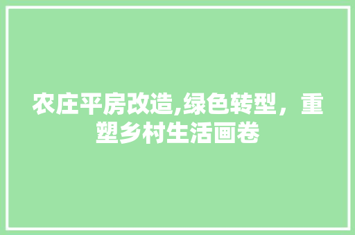 农庄平房改造,绿色转型，重塑乡村生活画卷 装修材料