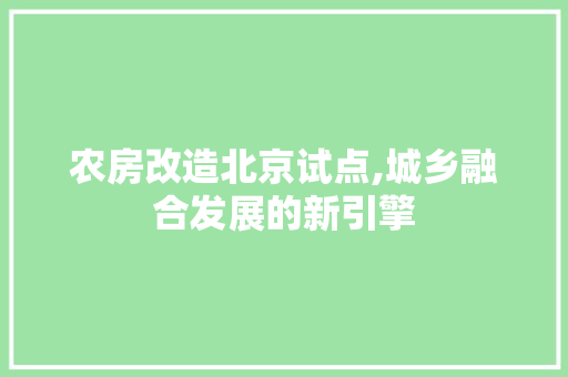 农房改造北京试点,城乡融合发展的新引擎 地面装修