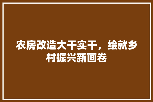 农房改造大干实干，绘就乡村振兴新画卷