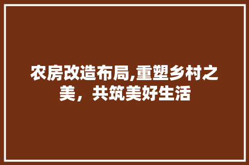 农房改造布局,重塑乡村之美，共筑美好生活 装修材料