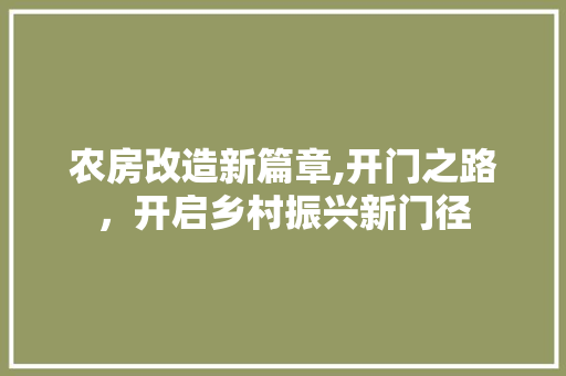 农房改造新篇章,开门之路，开启乡村振兴新门径