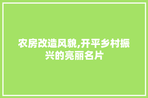 农房改造风貌,开平乡村振兴的亮丽名片