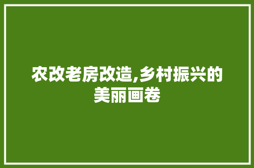 农改老房改造,乡村振兴的美丽画卷 地面装修