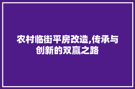 农村临街平房改造,传承与创新的双赢之路 隔断设计