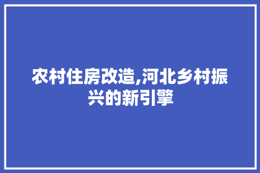 农村住房改造,河北乡村振兴的新引擎 景观设计