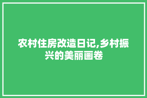 农村住房改造日记,乡村振兴的美丽画卷