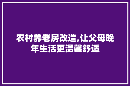 农村养老房改造,让父母晚年生活更温馨舒适