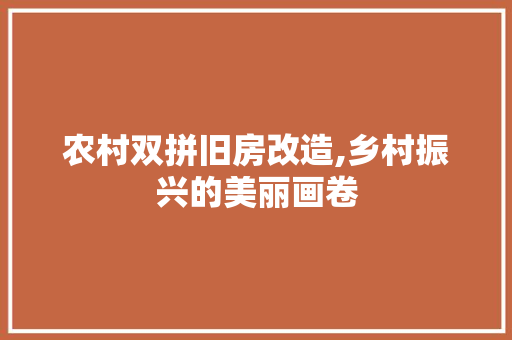农村双拼旧房改造,乡村振兴的美丽画卷 地面装修