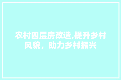 农村四层房改造,提升乡村风貌，助力乡村振兴