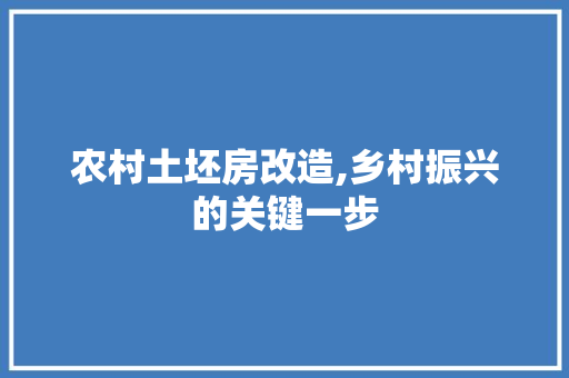 农村土坯房改造,乡村振兴的关键一步 隔断设计 农村土坯房改造,乡村振兴的关键一步 隔断设计