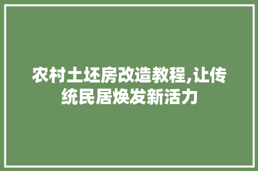 农村土坯房改造教程,让传统民居焕发新活力