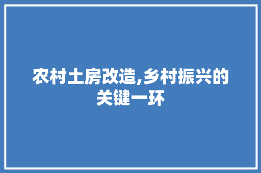 农村土房改造,乡村振兴的关键一环