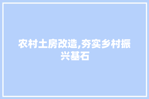 农村土房改造,夯实乡村振兴基石