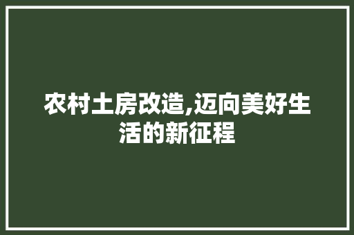 农村土房改造,迈向美好生活的新征程