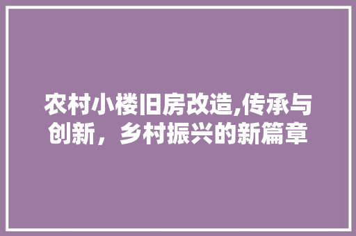 农村小楼旧房改造,传承与创新，乡村振兴的新篇章 装修攻略