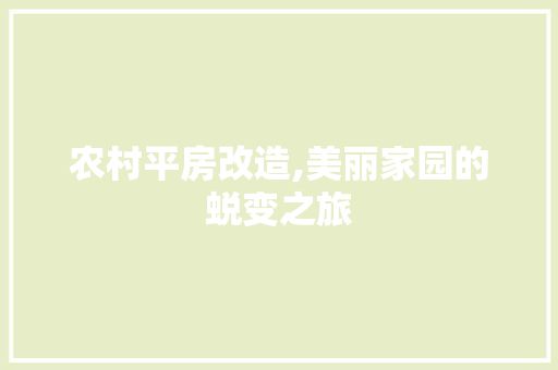 农村平房改造,美丽家园的蜕变之旅