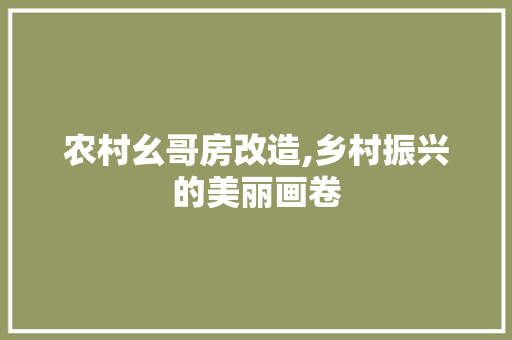 农村幺哥房改造,乡村振兴的美丽画卷 装修攻略