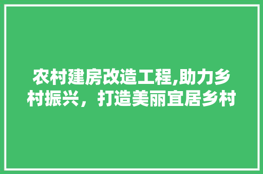 农村建房改造工程,助力乡村振兴，打造美丽宜居乡村 庭院装修