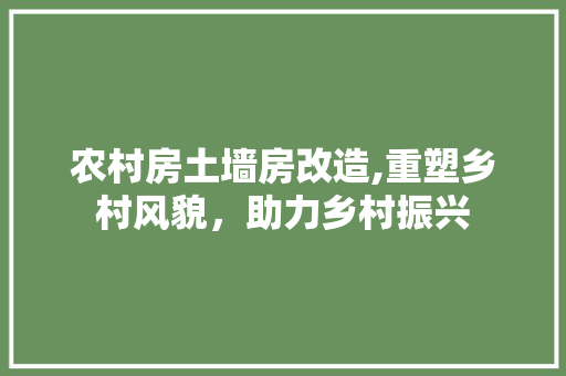 农村房土墙房改造,重塑乡村风貌，助力乡村振兴