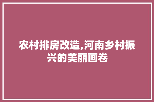 农村排房改造,河南乡村振兴的美丽画卷