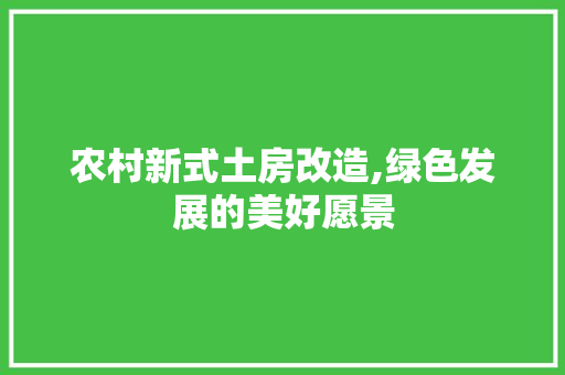 农村新式土房改造,绿色发展的美好愿景 地面装修