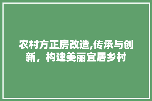 农村方正房改造,传承与创新，构建美丽宜居乡村
