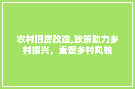 农村旧房改造,政策助力乡村振兴，重塑乡村风貌