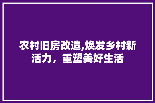 农村旧房改造,焕发乡村新活力，重塑美好生活