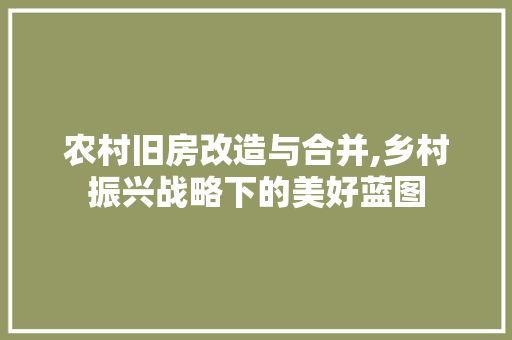 农村旧房改造与合并,乡村振兴战略下的美好蓝图