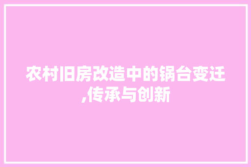 农村旧房改造中的锅台变迁,传承与创新 墙面装饰