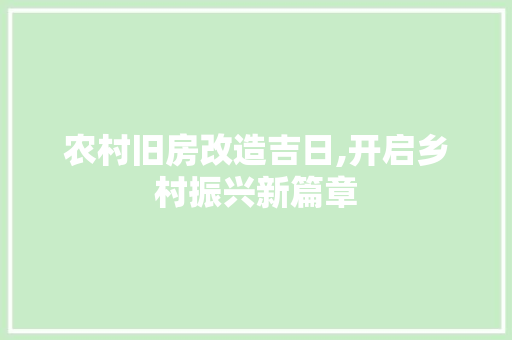 农村旧房改造吉日,开启乡村振兴新篇章 庭院装修