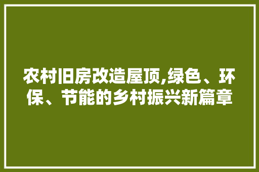 农村旧房改造屋顶,绿色、环保、节能的乡村振兴新篇章